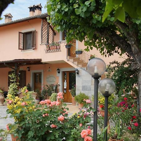 Agriturismo L'Ulivo In Fiore Spoleto Luaran gambar