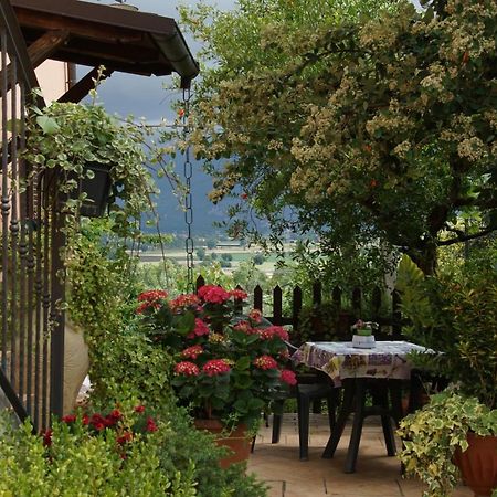 Agriturismo L'Ulivo In Fiore Spoleto Luaran gambar