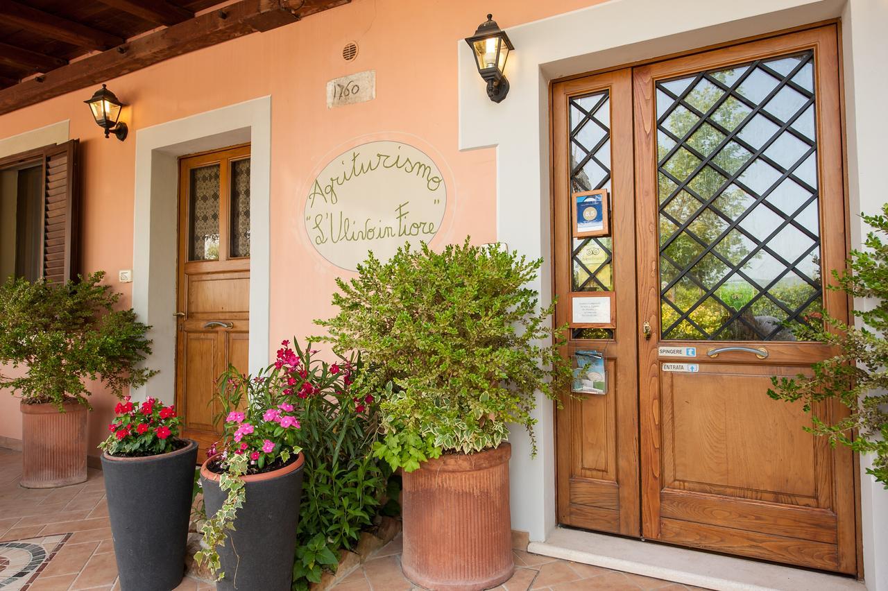 Agriturismo L'Ulivo In Fiore Spoleto Luaran gambar